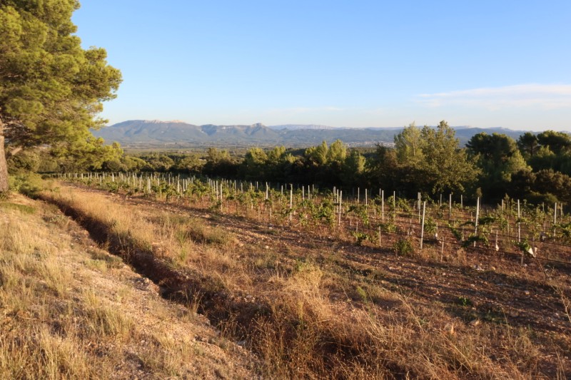 Petite balade au château Lacoste avant d’aller visiter les Domaines de la Sainte Victoire  ,  en vélo électrique Aixbike pour deux américaines