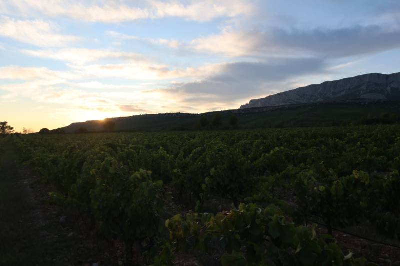 Établissement vinicole, proposant des vins issus de la Provence avec une approche familiale et conviviale Aix-en-Provence Domaine Pey Blanc