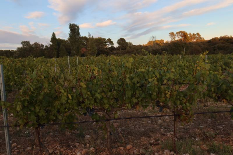 Établissement vinicole proposant des dégustations de vins et des soirées à thème dans un cadre provençal. Saint-Cannat Domaine du Val Dernier