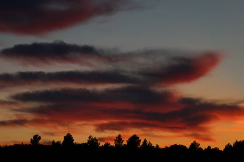 Magnifique coucher de soleil en plein milieu du domaine viticole de la Sainte Victoire à Aix en Provence 