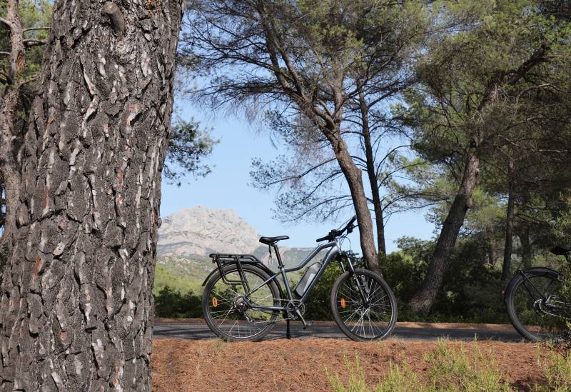 Vélo électrique de marque Nakamura