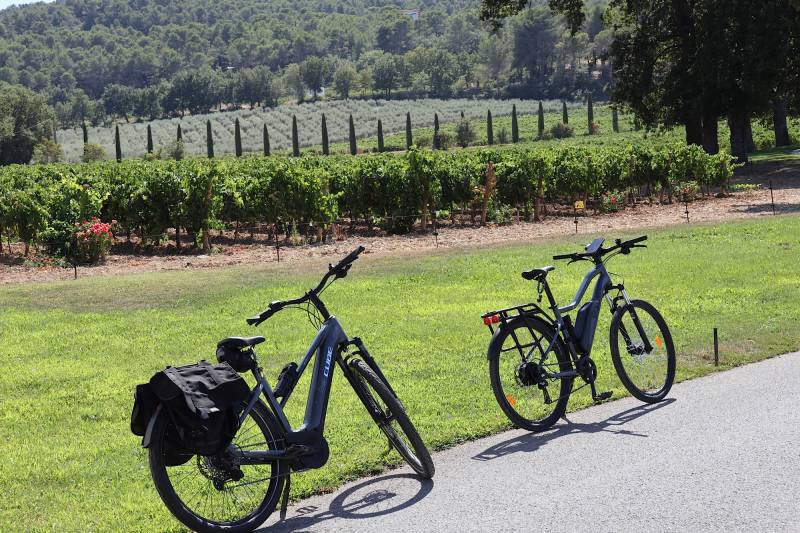 Magnifique parcours très peu fréquenté pour aller visiter en vélos électriques le Domaine du Château La Coste
