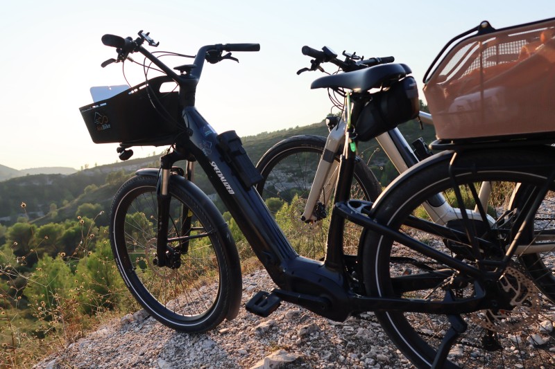 Le printemps, la période idéale pour louer un vélo 