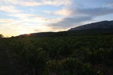 Établissement vinicole, proposant des vins issus de la Provence avec une approche familiale et conviviale Aix-en-Provence Domaine Pey Blanc