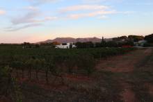 Espace événementiel, spécialisé dans les réceptions privées et professionnelles avec un cadre naturel unique Trets Domaine de La Pommé